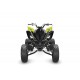 QUAD HOMOLOGUE RAPTOR 700R NOIR/JAUNE 2022