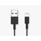 Cable USB A vers Lightning Quad Lock - 20cm