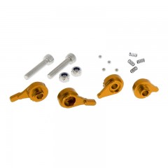 Visserie de leviers V-PARTS Or