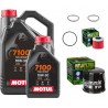 Pack Vidange Honda Africa Twin DCT - MOTUL 7100 10W30