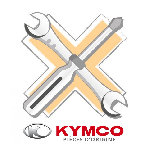 Kit entretien Origine Kymco - AK 550 (20000kms)