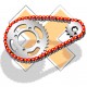 Kit Chaine DID Husqvarna 701 SM - Renforcé