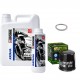 Pack Vidange Kawasaki VN2000 2007 à 2011 - Ipone Katana