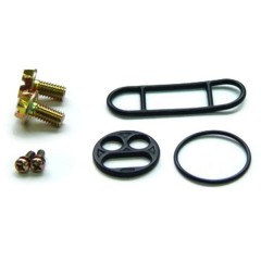 Kit réparation de robinet d'essence TOURMAX - FCK-22