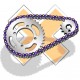 Kit Chaine AFAM CF MOTO 450MT