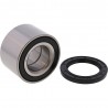 Kit roulements de roue ALL BALLS - 25-1516
