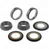 Kit roulements de colonne de direction ALL BALLS 22-1001