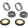 Kit roulements de colonne de direction ALL BALLS 22-1003
