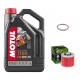 Pack Vidange Yamaha XTZ 660 Ténére - Motul 7100