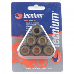 Jeu de galets TECNIUM 16x13mm 8,0gr - 6 pièces
