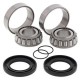Kit roulements de bras oscillant ALL BALLS - 28-1058