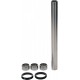 Kit roulements de bras oscillant ALL BALLS - 28-1227