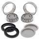 Kit roulements de bras oscillant ALL BALLS - 28-1056