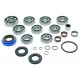 Kit de révision de transmission ALL BALLS 25-7015