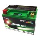 Batterie SKYRICH Lithium Ion LTX9-BS sans entretien