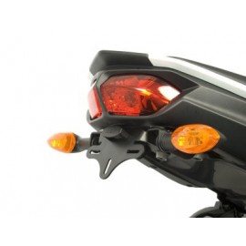 Support de plaque R&G Yamaha FZ8 / FZ1 N
