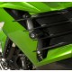 Tampons de protection R&G RACING noir Kawasaki ZZR1400