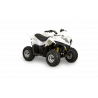 MAXXER 50s