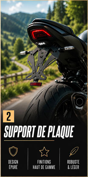 Support de plaque